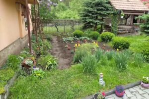 Casa Miklos / Miklos Vendeghaz / Miklos guesthouse