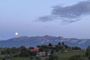 Casa Muchia lui Girnita