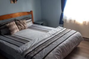 Casa Nistor Vama județul Suceava