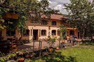 Casa Olarului Les Daniel