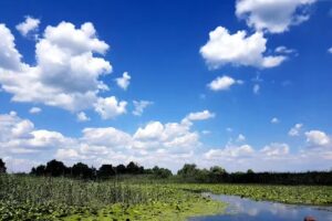 Casa Pescărușul Albastru