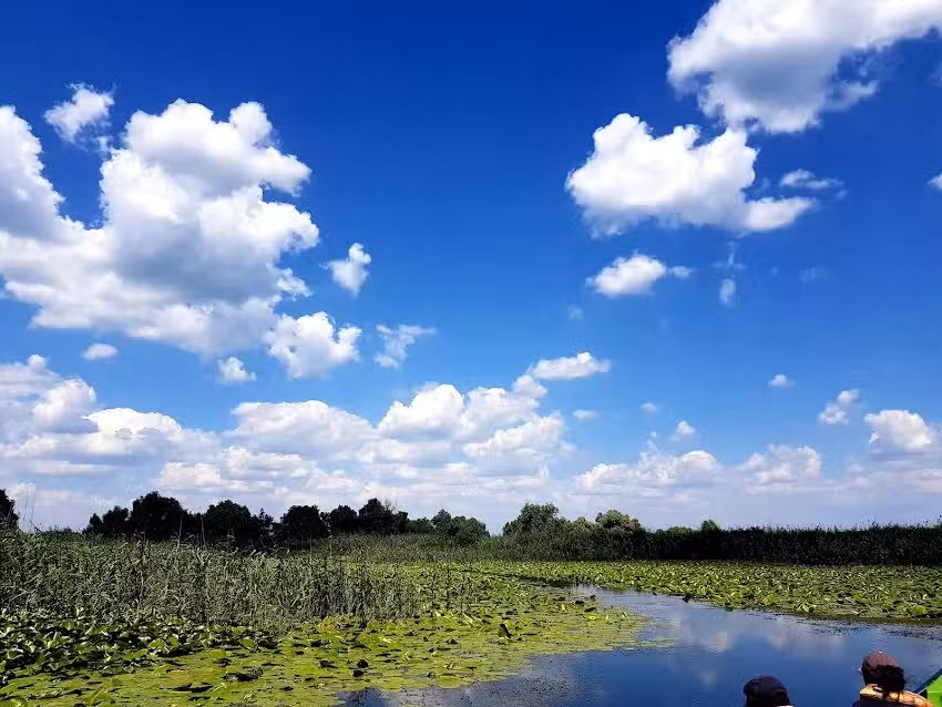 Casa Pescărușul Albastru