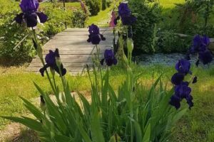 Casa relax sanatesti romania