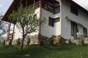 Casa Roman Viseu de Sus