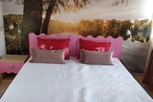 CASA SALIX Costinesti