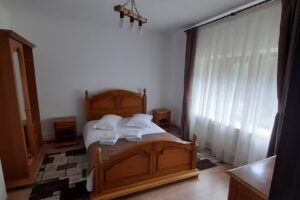 Casa Vanatoare Teius