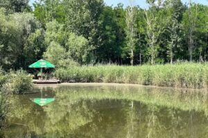 Casa Verde – Cazare Bechet