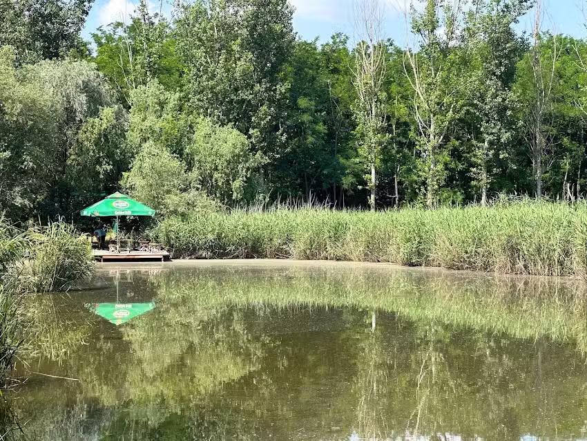 Casa Verde – Cazare Bechet