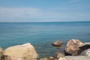 Casa Violeta – fara copii