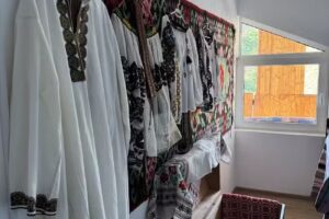 Casa Viorica – Botoș