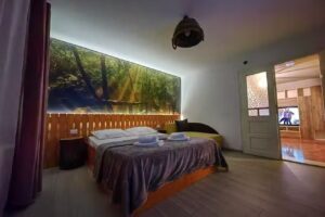 Casa Zina – ValeaAlmajului.ro