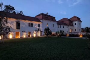 Castelul Ugron din Filiaș