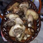 Casuta Bunicilor Breb