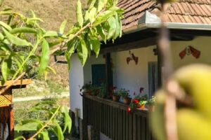 Căsuța Bunicilor din Valea Sartăș