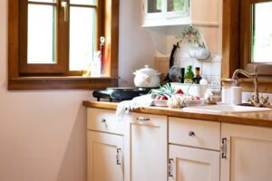 Casuta cu Alune – Cabana Valea Manastirii – Muntii Apuseni