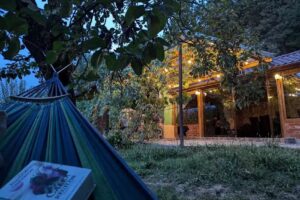 Căsuța de sub pădure