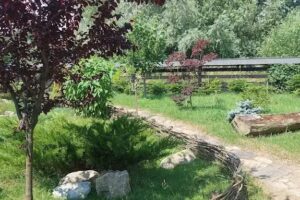 Căsuța din dealul Gâldanilor