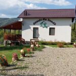 Căsuța din livadă