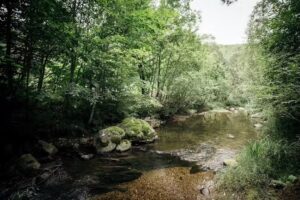 Casuta din Lunca Visagului