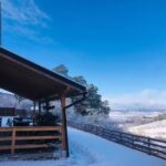 Căsuța din Pădure