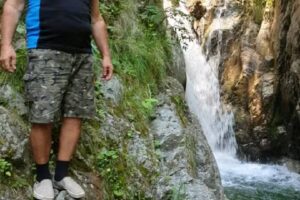 Căsuța din pădure