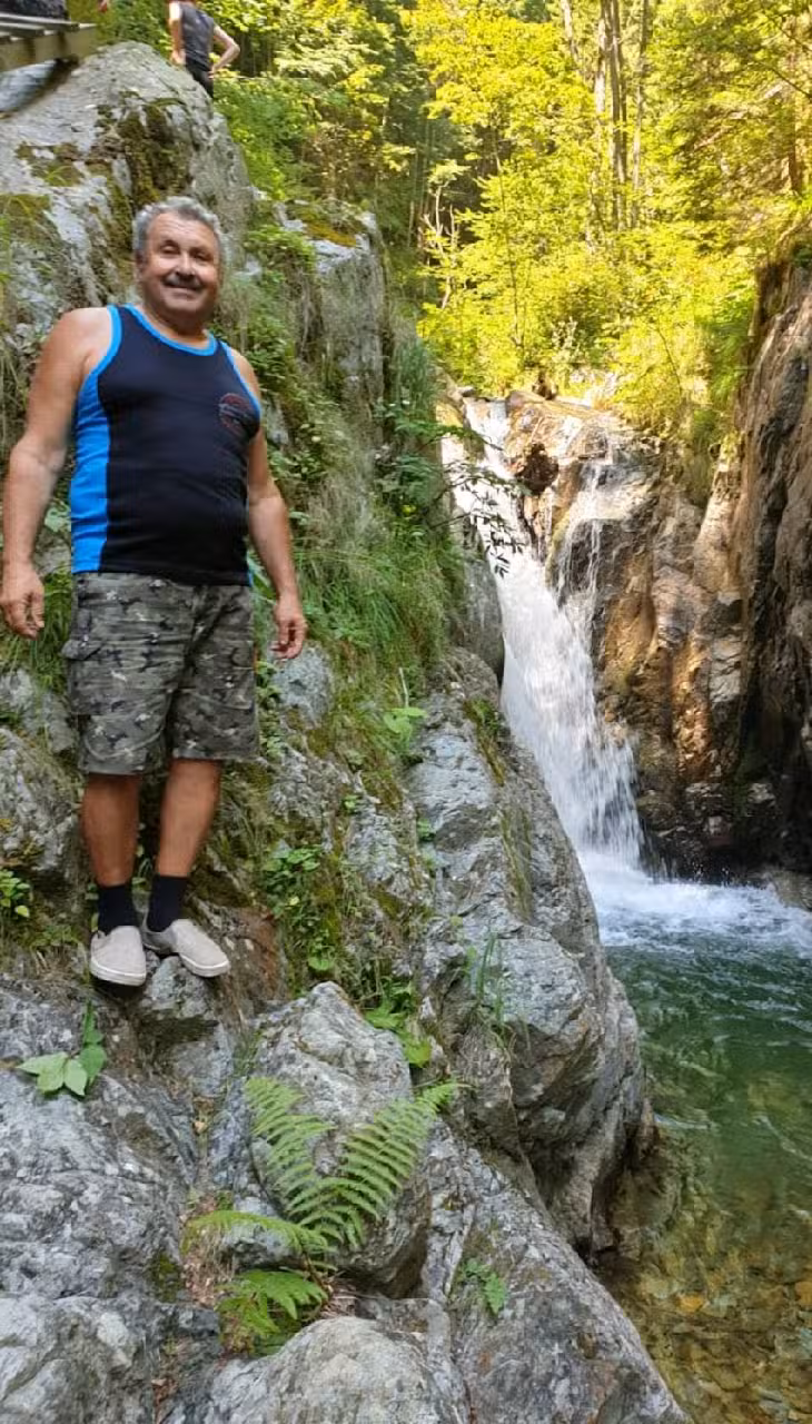 Căsuța din pădure