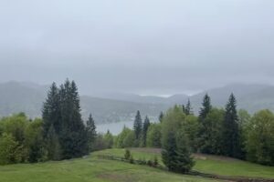 Căsuța din Pădure, Colibița