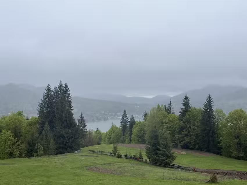 Căsuța din Pădure, Colibița