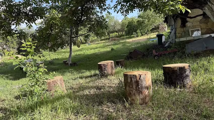 Căsuța din Poiană