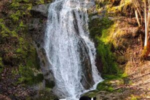 Căsuța din povești