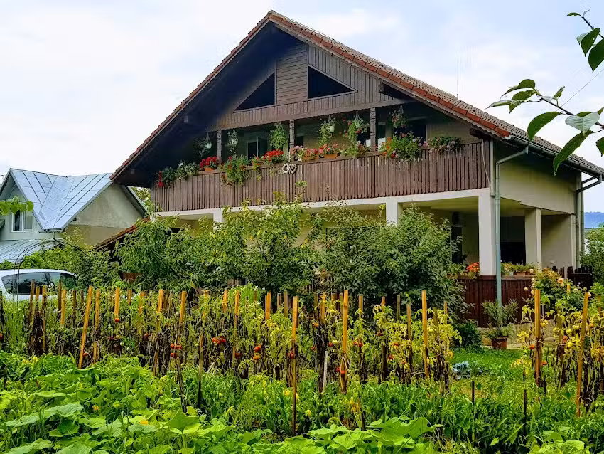 Casuta dintre salcii