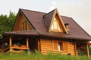 CĂSUȚA VÂNĂTORULUI