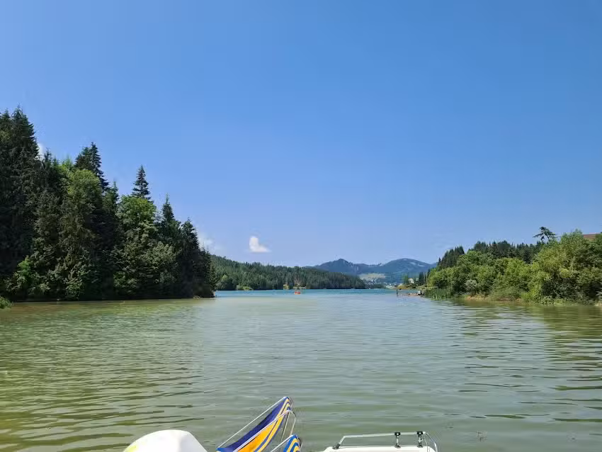 Căsuțe Tip Camping Colibița