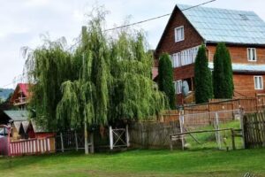 Casute Vacanta Baicu Bicaz