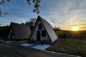 Casutele de la rascruce