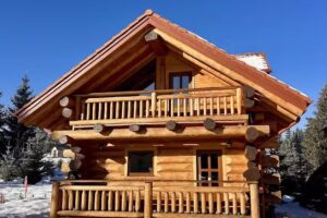 Căsuțele dintre brazi