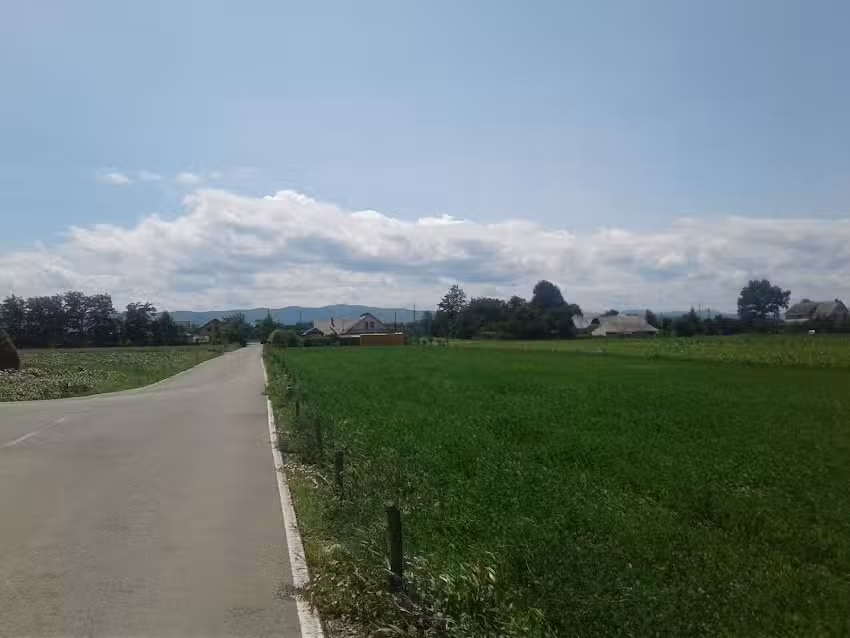 Cătălin