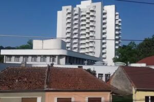 Cazare Baile Felix Pensiunea Sebi