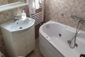 Cazare Business-Transit