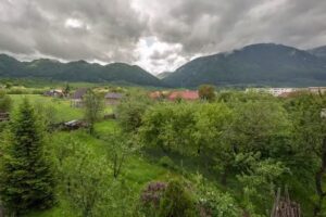 Cazare – Carmi House