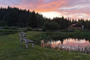 Cazare Ciumani – Pensiunea Szekely