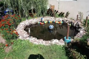 Cazare cu Piscina – Pensiunea Poarta Ariesului