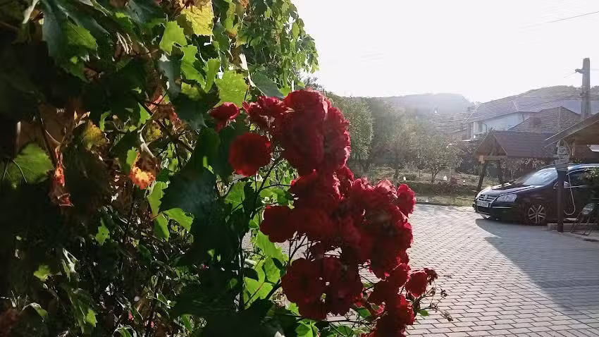 Cazare Curtea de Arges – Victoriei 35B