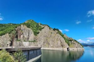 Cazare Floare de colț