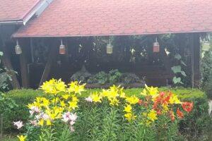 Cazare Gura Humorului – Pensiunea Anastasia