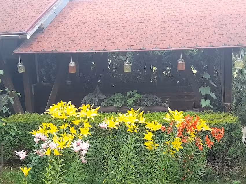 Cazare Gura Humorului – Pensiunea Anastasia