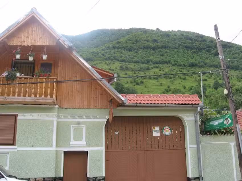 Cazare Gura Raului – Pensiunea Calin 3***