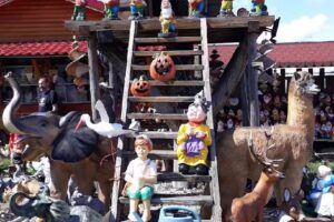 Cazare Intersectia Transfagarasan