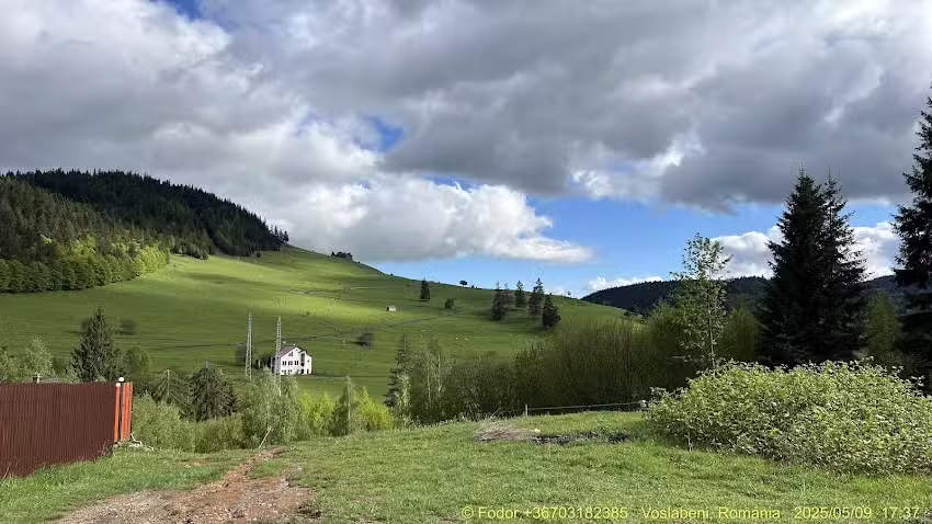 Cazare Izvoru Muresului