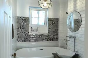 Cazare Norsk Skogkatt Galati